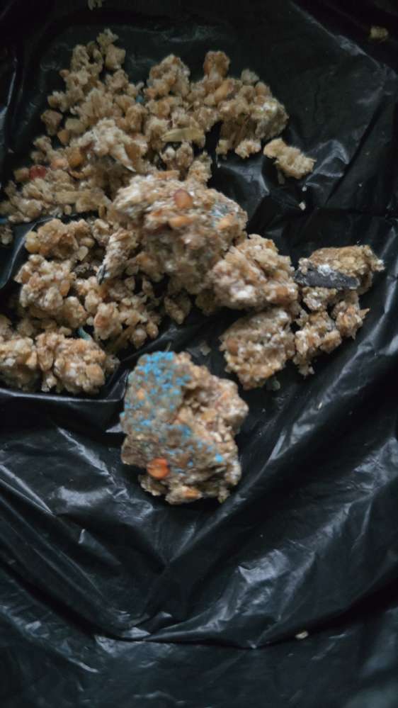 Giftköder-VORSICHT!!! GIFTKÖDER!-Profilbild