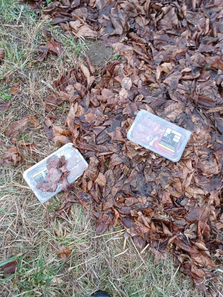 Giftköder-Verdächtiges Fleisch!!!!!!!!-Profilbild