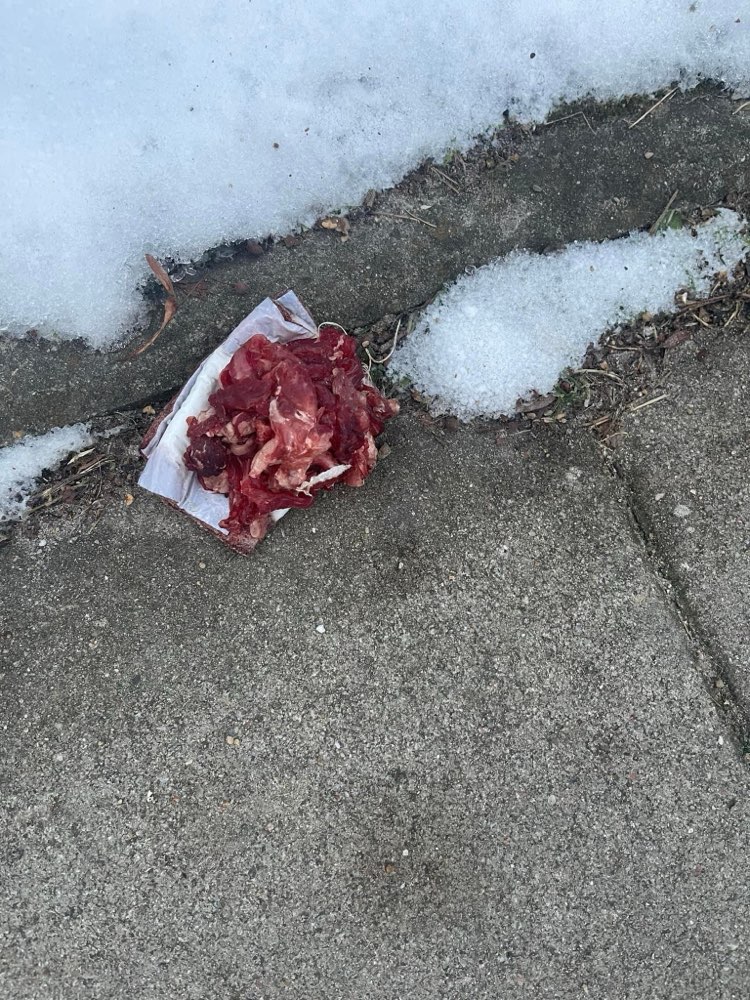 Giftköder-vermutlich Giftköder-Profilbild