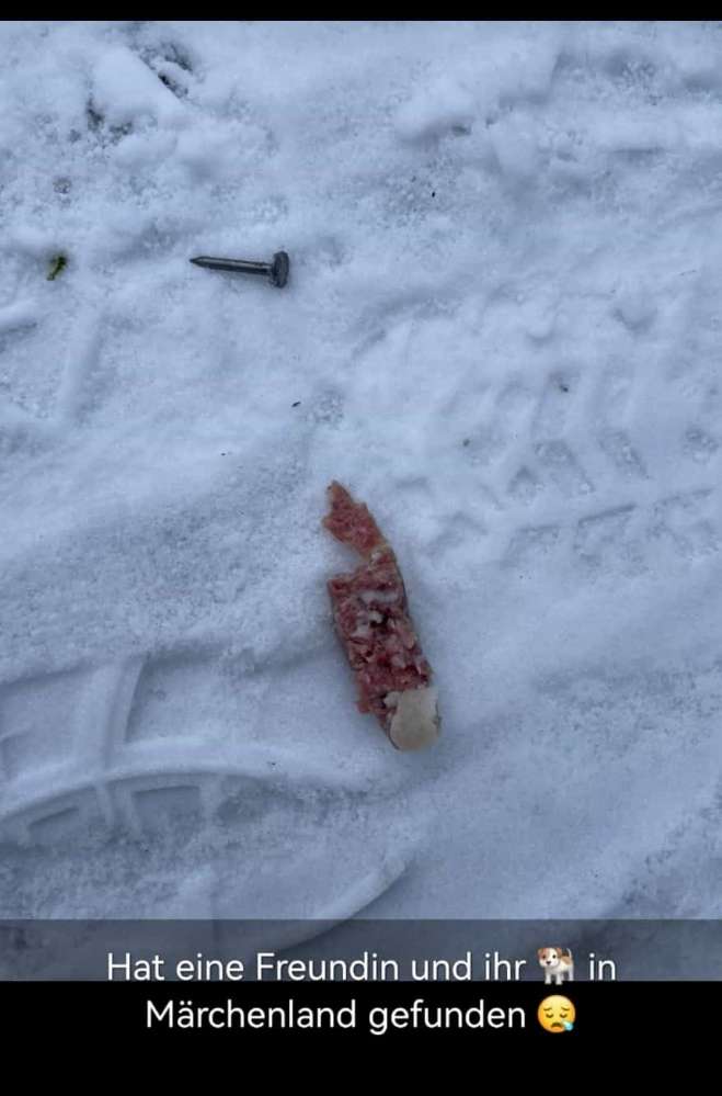 Giftköder-Wurststücken mit Nägeln-Profilbild