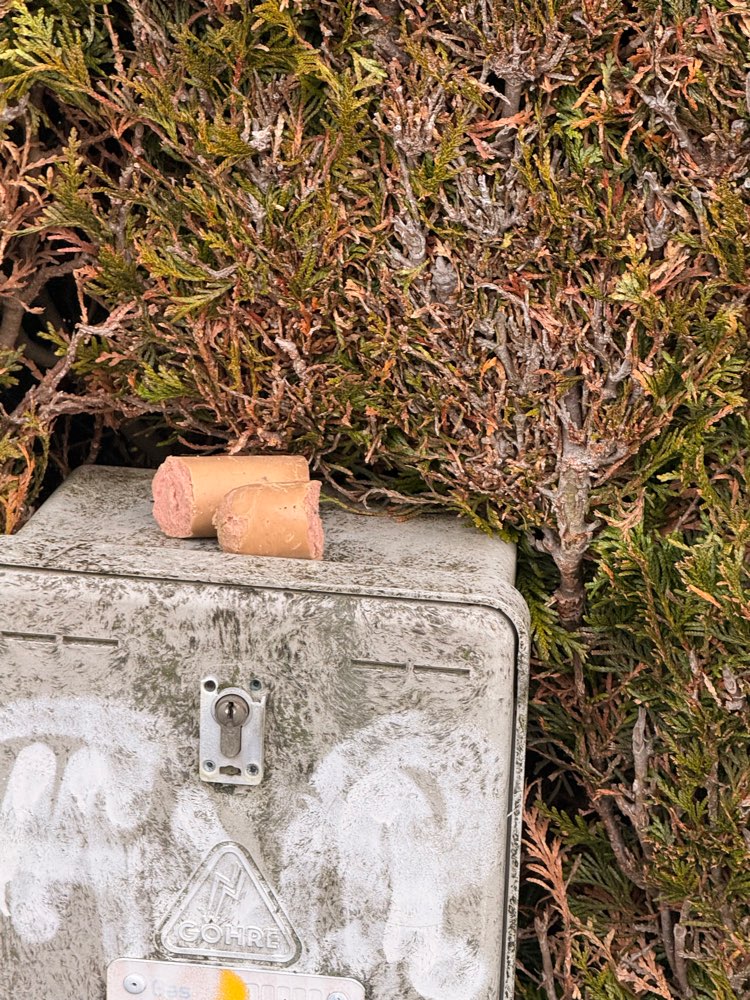Giftköder-Hundewurst in Hecke möglicher Giftköder-Profilbild