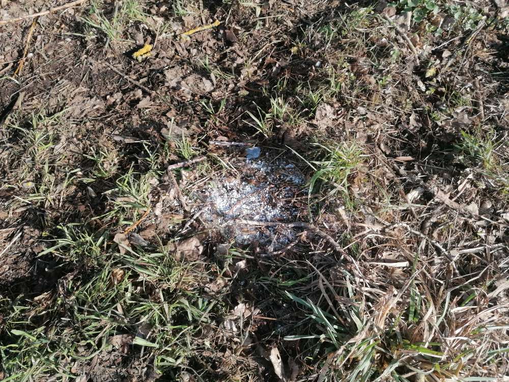 Giftköder-Möglicher Giftköder-Profilbild