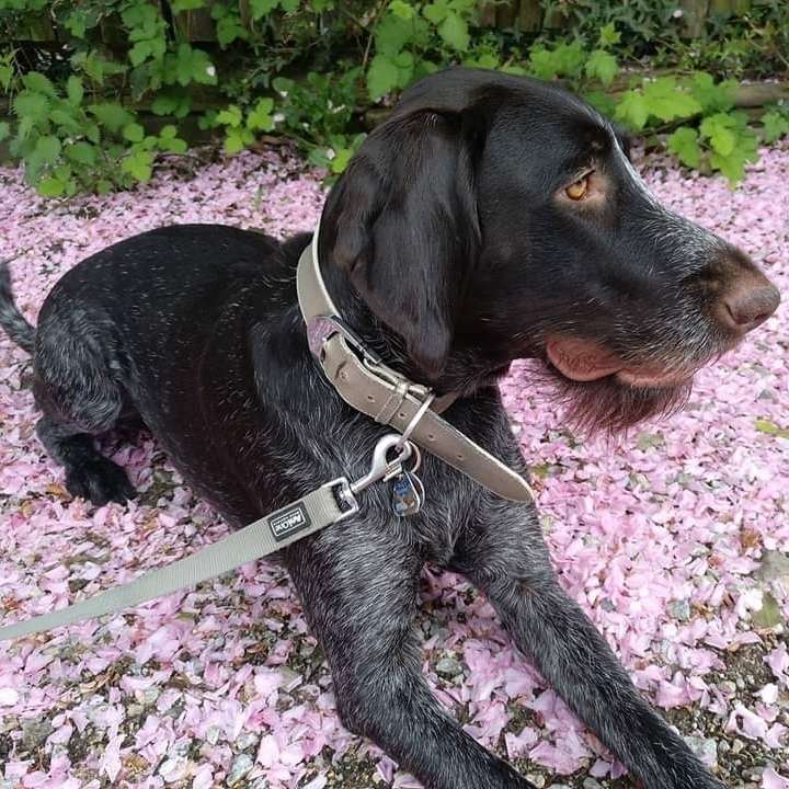 Suchmeldung-Maggy-Profilbild