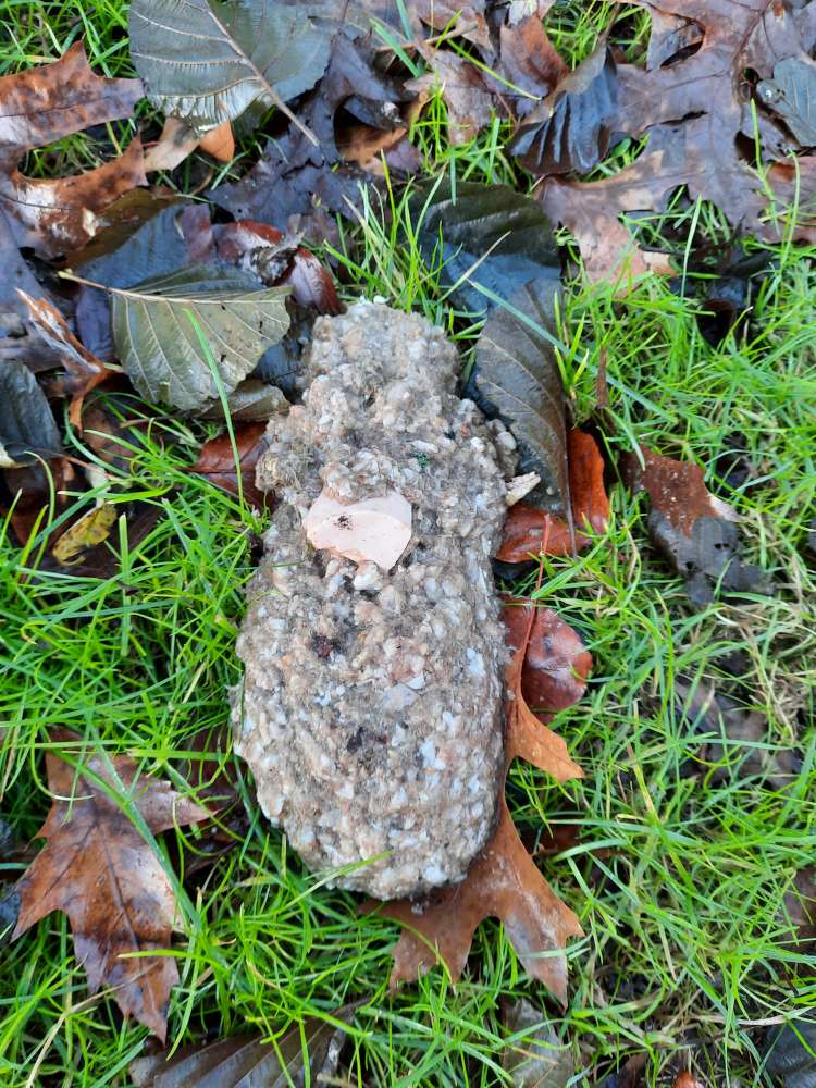 Giftköder-Hack mit Fleischwurst und womöglich Gift-Profilbild