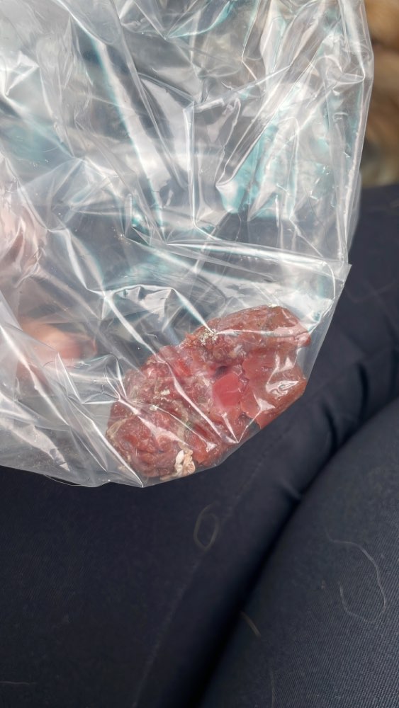 Giftköder-Giftköder-Profilbild