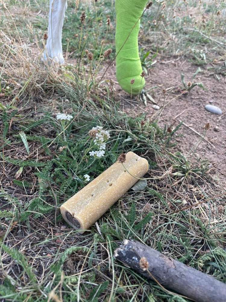 Giftköder-Unbekannte "Kaustangen"-Profilbild