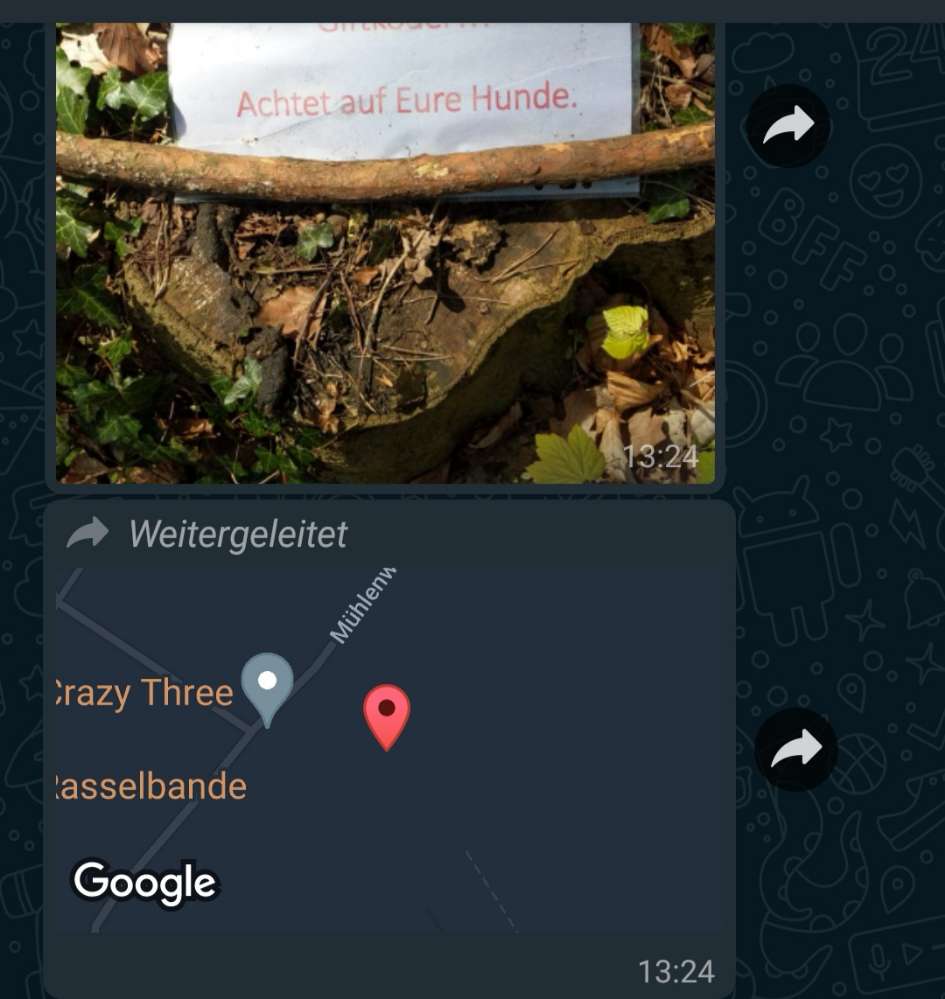 Giftköder-Achtung Giftköder-Profilbild