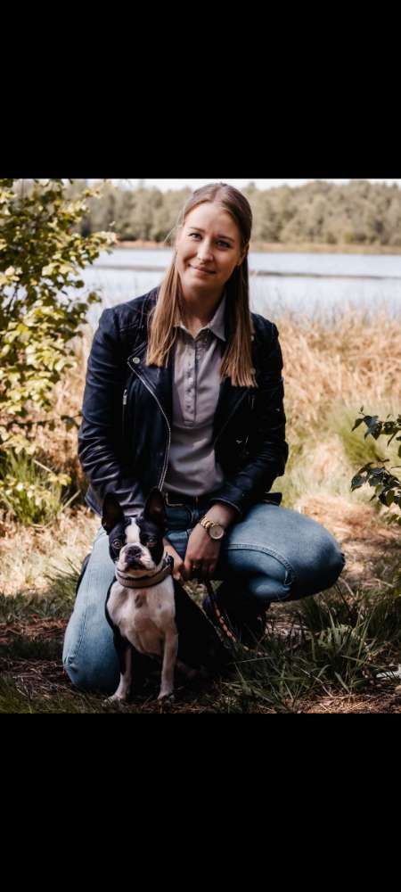 Hundetreffen-Spielen, Gassirunden und trainieren-Profilbild