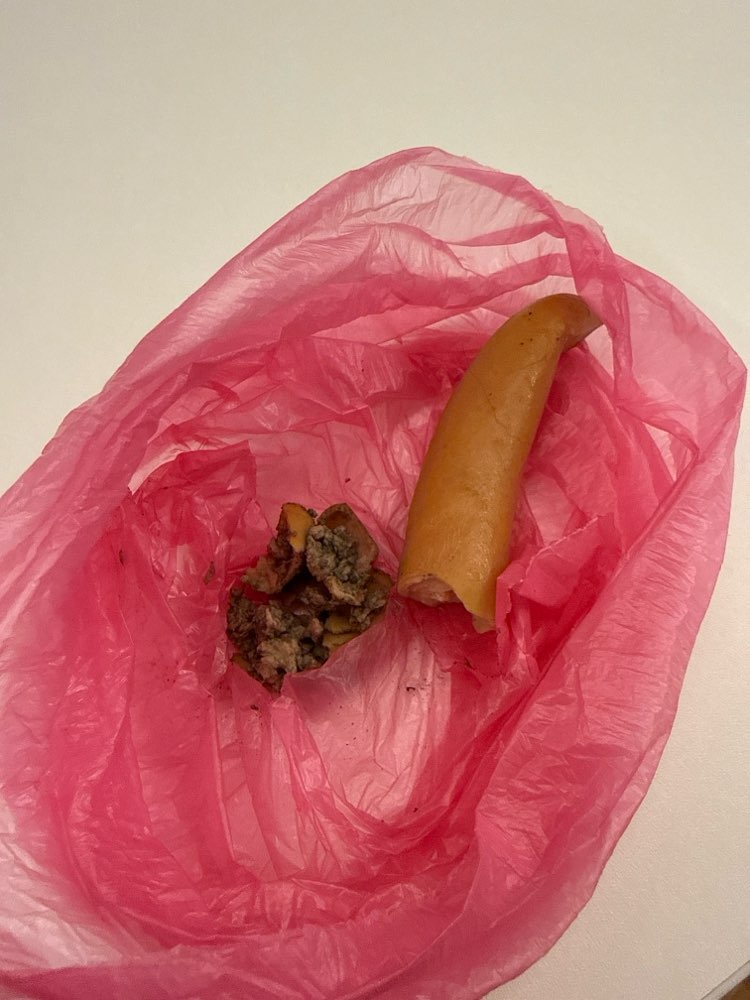 Giftköder-Eventuell Giftköder-Profilbild