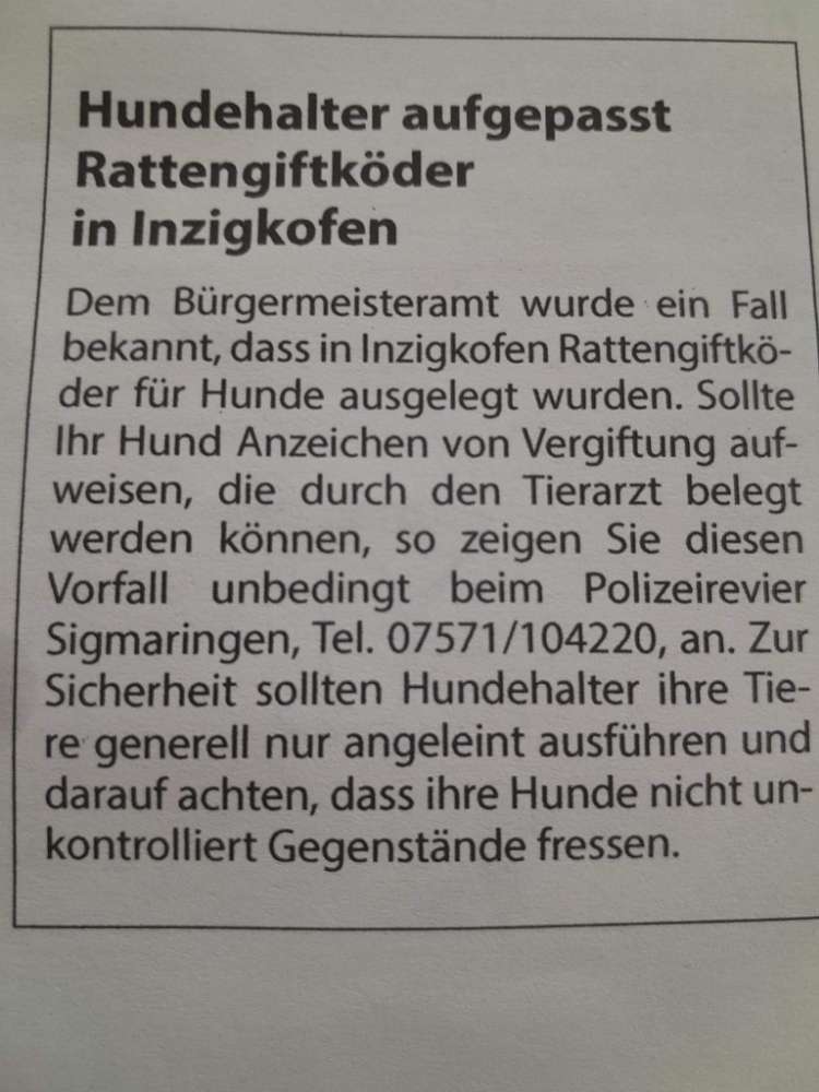 Giftköder-Giftköder mit Rattengift!!!-Profilbild