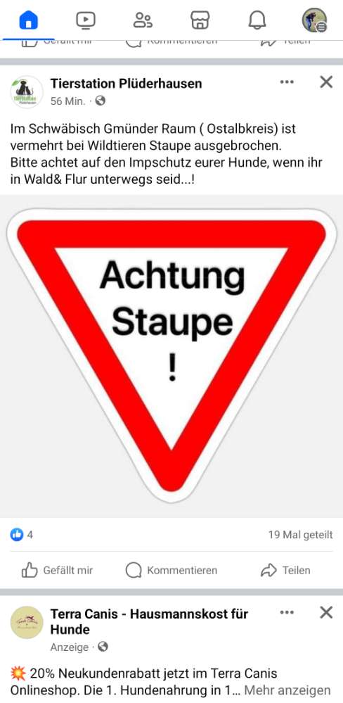 Giftköder-Staupe-Profilbild