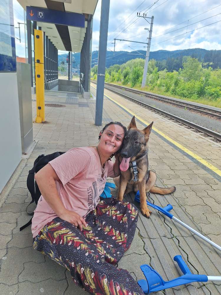 Hundetreffen-Gemeinsame Hundefreizeit Gruppe gründen-Profilbild