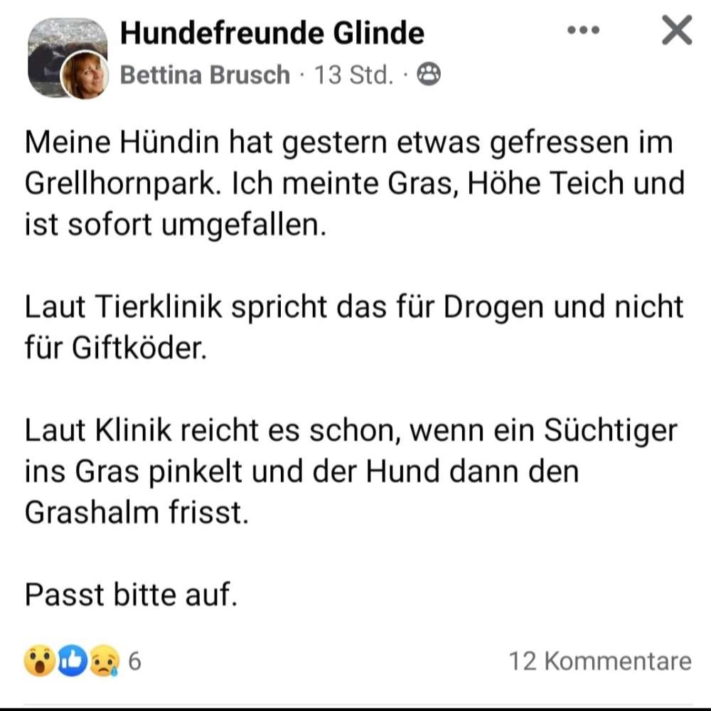 Giftköder-Hund hat Gift oder Drogen gefressen-Profilbild