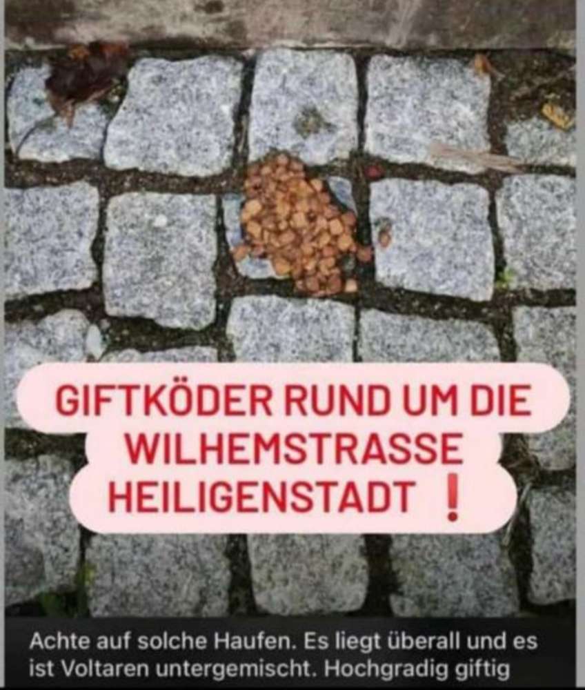 Giftköder-Giftköder-Profilbild