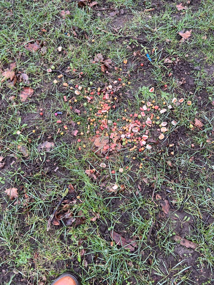 Giftköder-Ggf. Giftköder-Profilbild