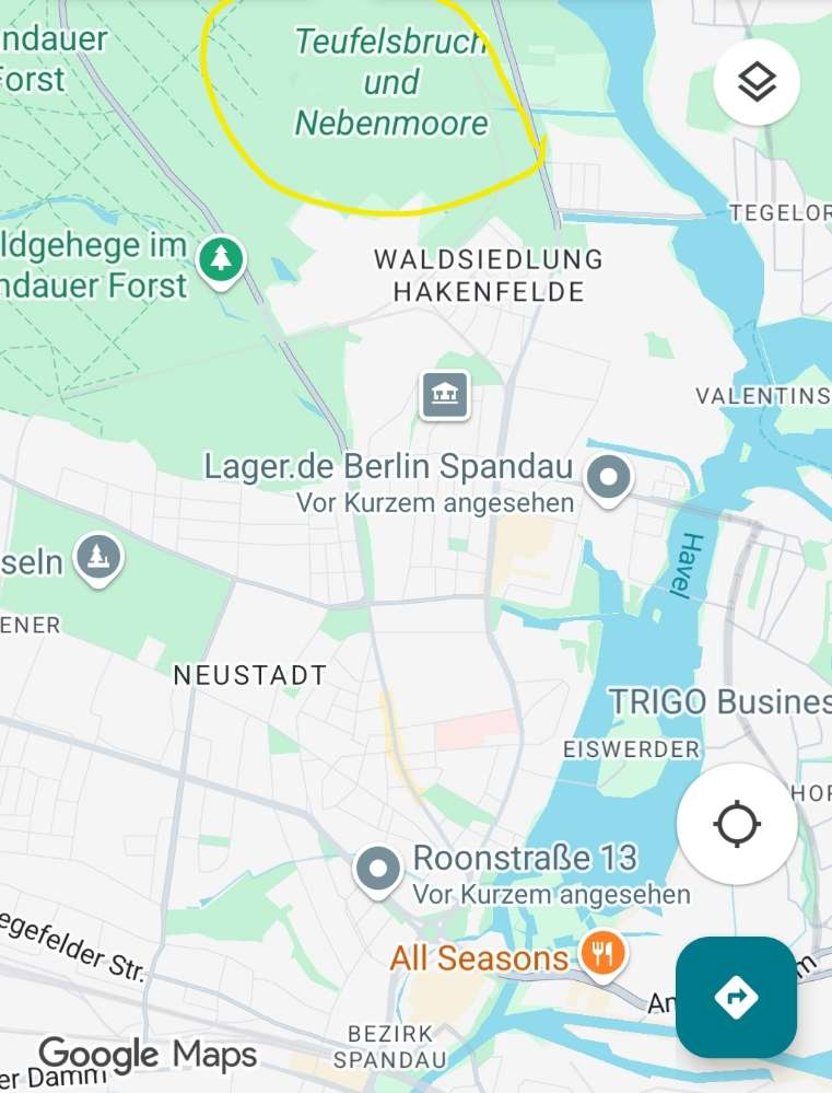 Hundetreffen-Ruhiger Waldspatziergang in Spandau (Hakenfelde)-Profilbild