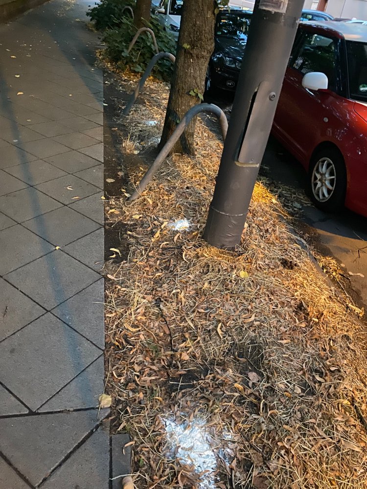 Giftköder-Unbekanntes weißes Pulver-Profilbild