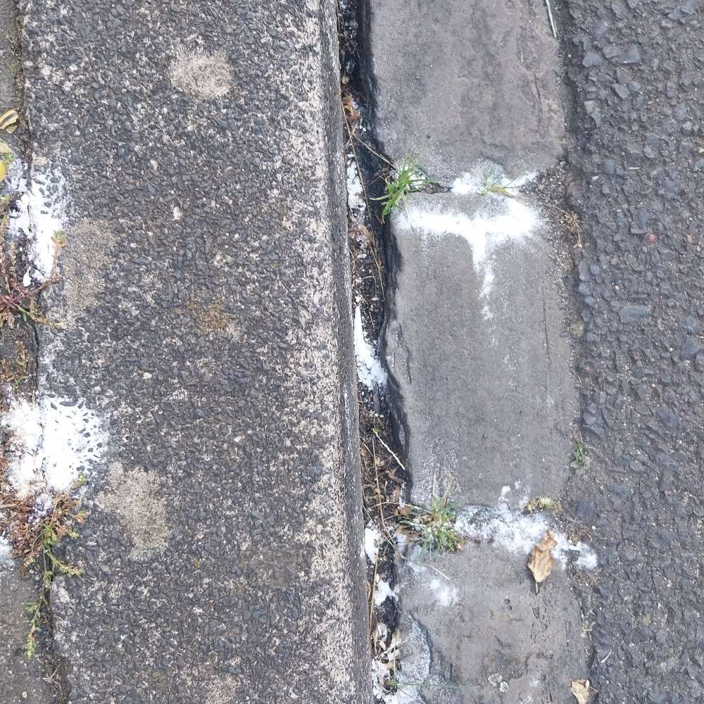 Giftköder-Weisses Pulver-Profilbild