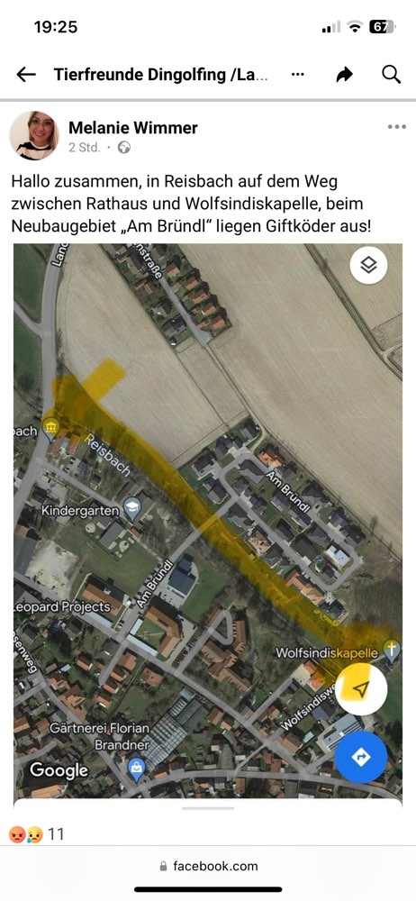 Giftköder-Giftköder-Profilbild