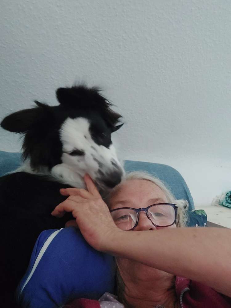 Hundetreffen-Gassi gehen-Profilbild