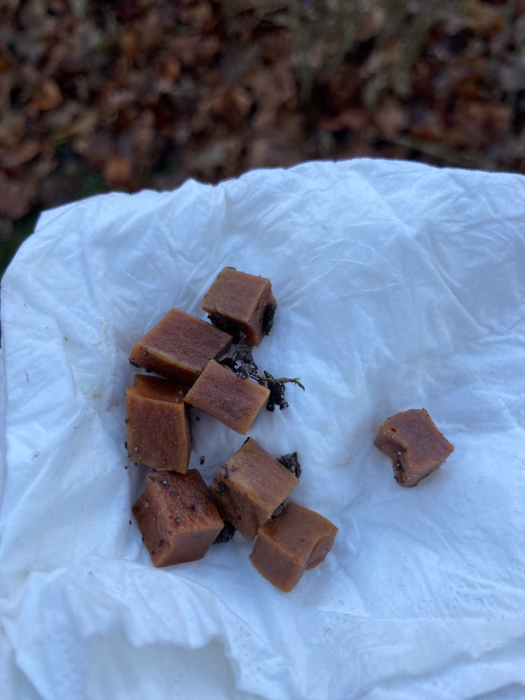 Giftköder-Möglicher Giftköder-Profilbild