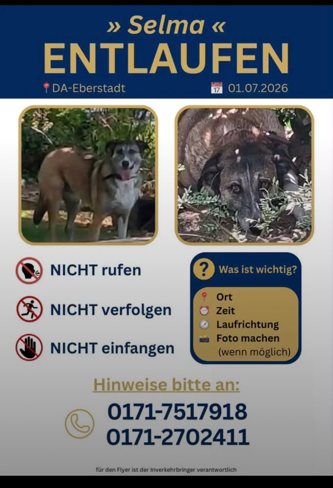 Suchmeldung-Selma-Profilbild