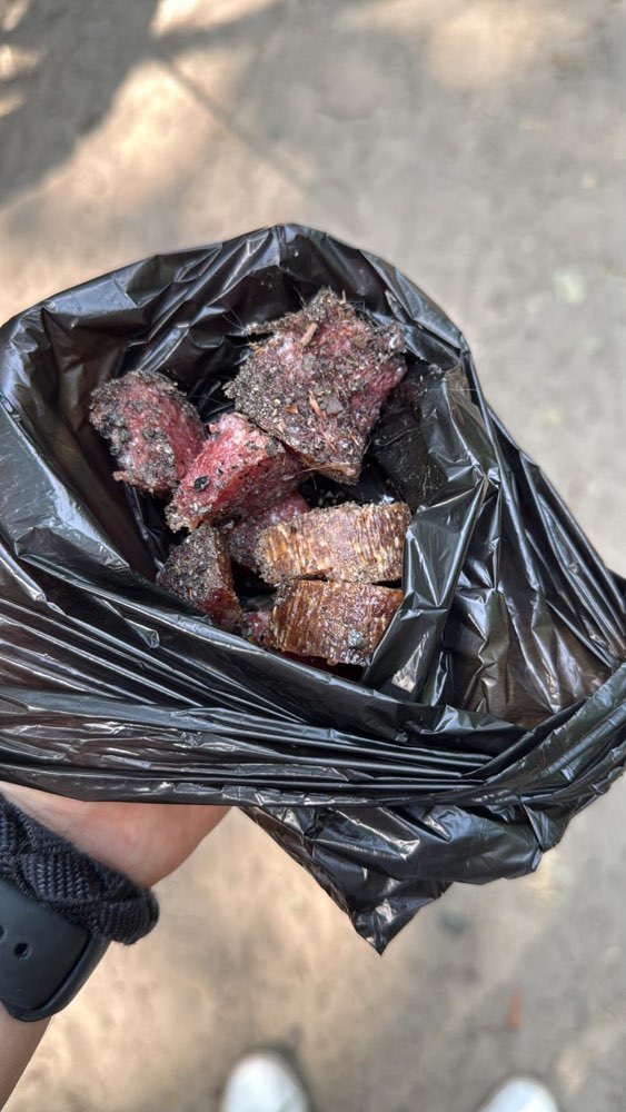 Giftköder-Giftköder (Vermutung)-Profilbild