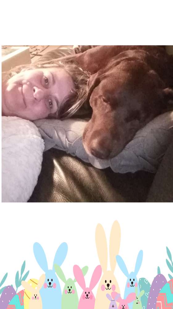 Hundetreffen-Gemeinsame Gassi gehen, wandern mit freundliche Fellnasen-Profilbild