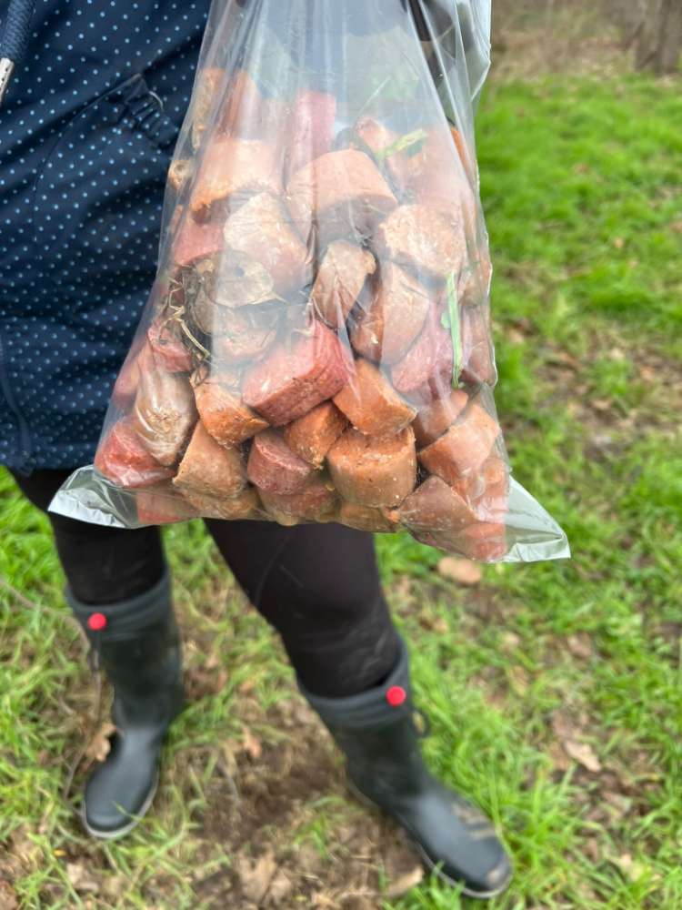 Giftköder-Evtl. Giftköder in Birkesdorf (Sucuk)-Profilbild