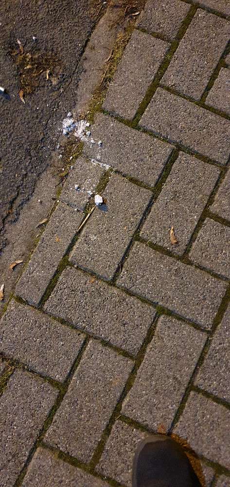 Giftköder-Vermutlich Rattengift-Profilbild