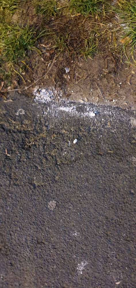 Giftköder-VORSICHT!!!...Erneut Rattengift!!!-Profilbild