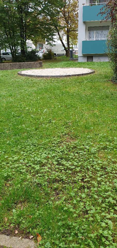 Giftköder-RATTENGIFT!!-Profilbild