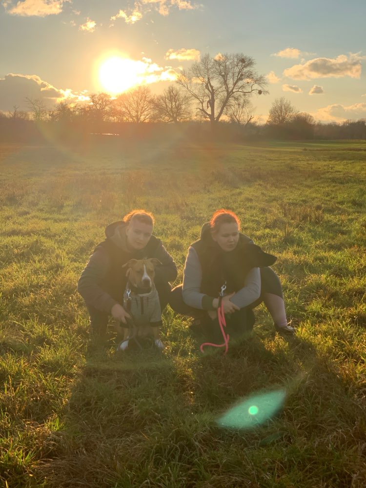 Hundetreffen-Wir suchen Spielfreunde für meine kleine Maus-Profilbild