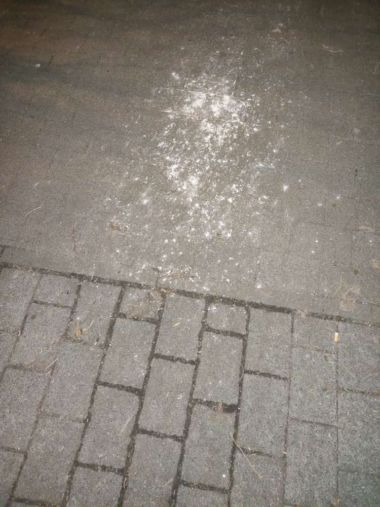 Giftköder-weißes Pulver auf dem Gehweg-Profilbild
