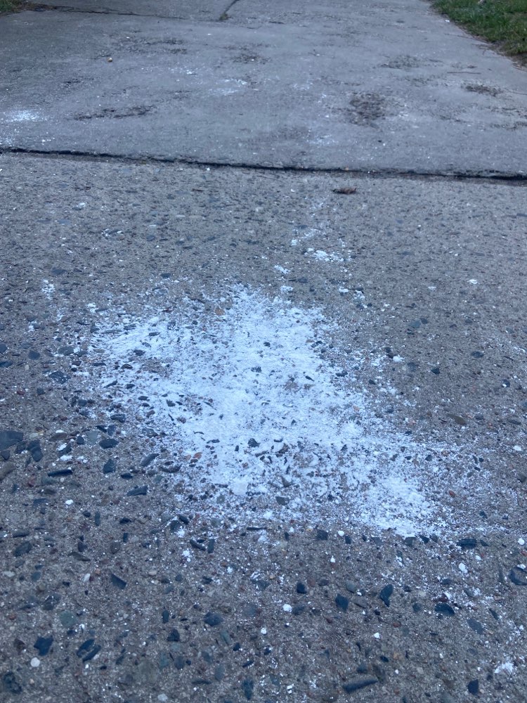 Giftköder-Weißes Pulver-Profilbild