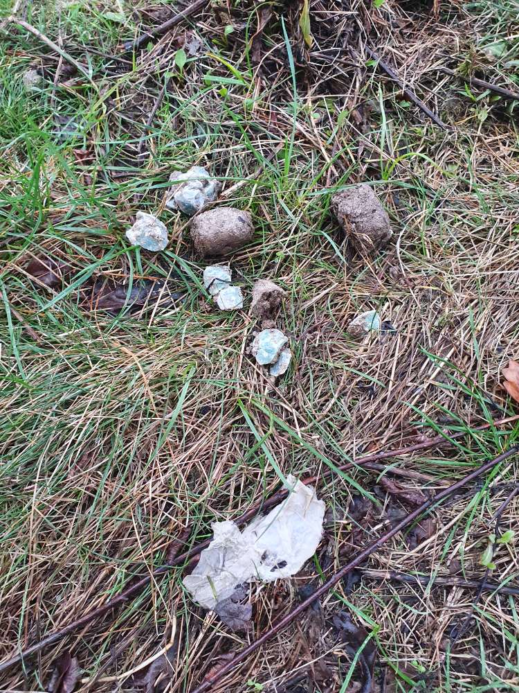 Giftköder-Giftköder-Profilbild