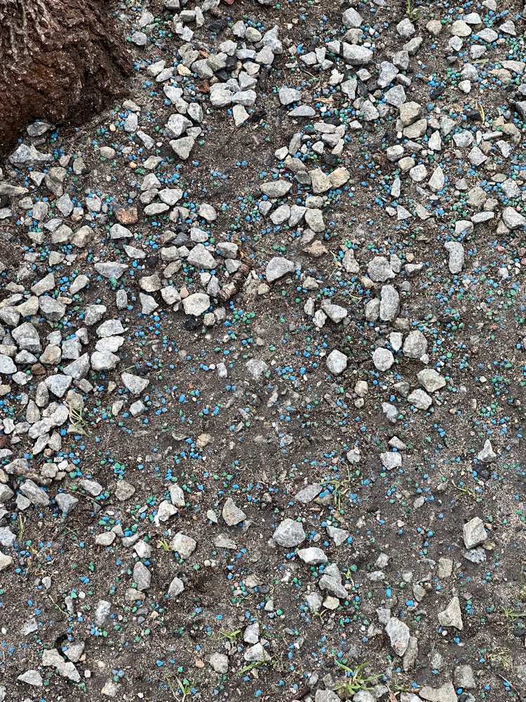 Giftköder-Eventuell Schneckenkorn-Profilbild