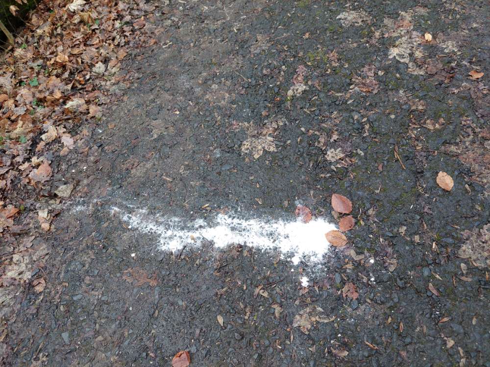 Giftköder-Weißes Pulver!-Profilbild