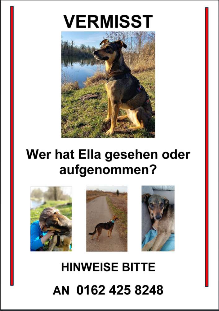Suchmeldung-Ella-Profilbild