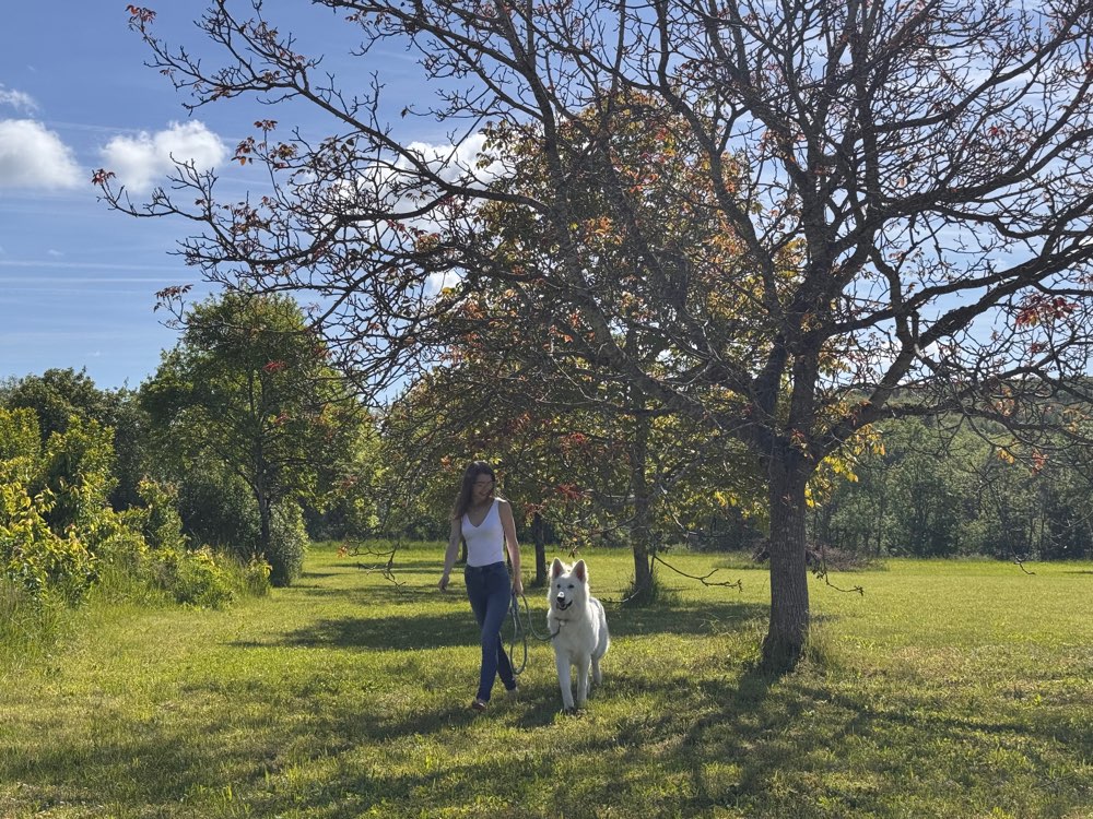 Hundetreffen-🐾 Gemeinsame Gassirunden & neue Hundefreunde gesucht 🐾-Profilbild