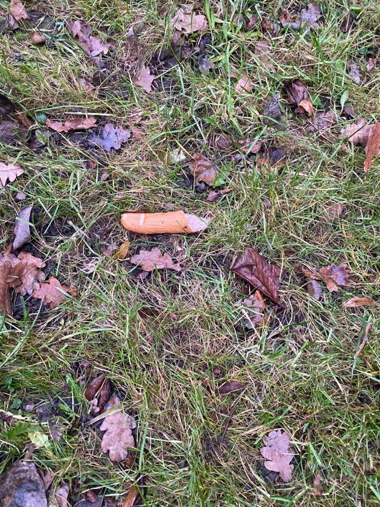 Giftköder-Halbierte Bratwurst und Bockwurst.-Profilbild