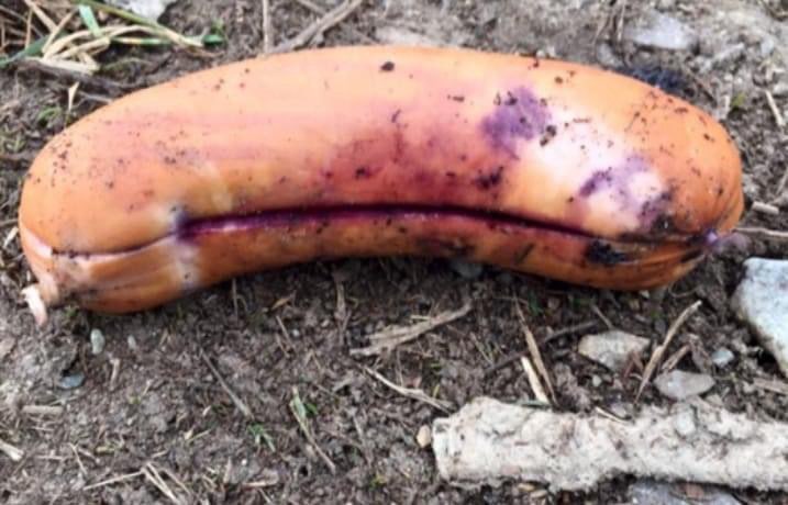 Giftköder-Giftköder-Profilbild