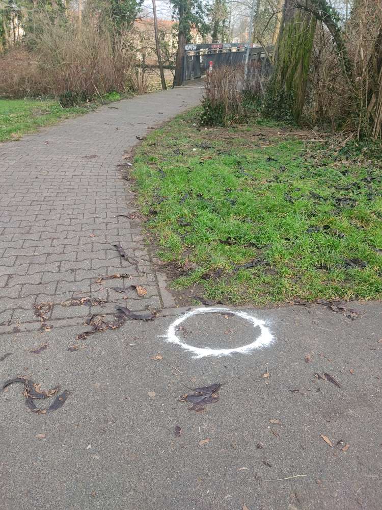 Giftköder-Weißes Pulver-Profilbild