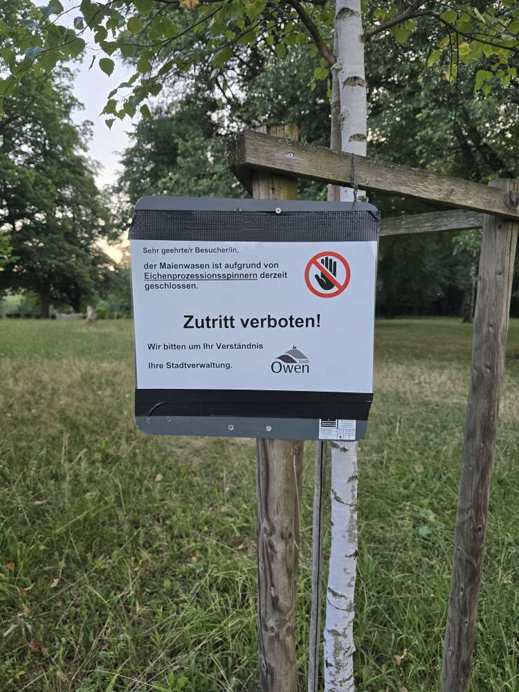 Giftköder-Eichenprozessionsspinner-Profilbild