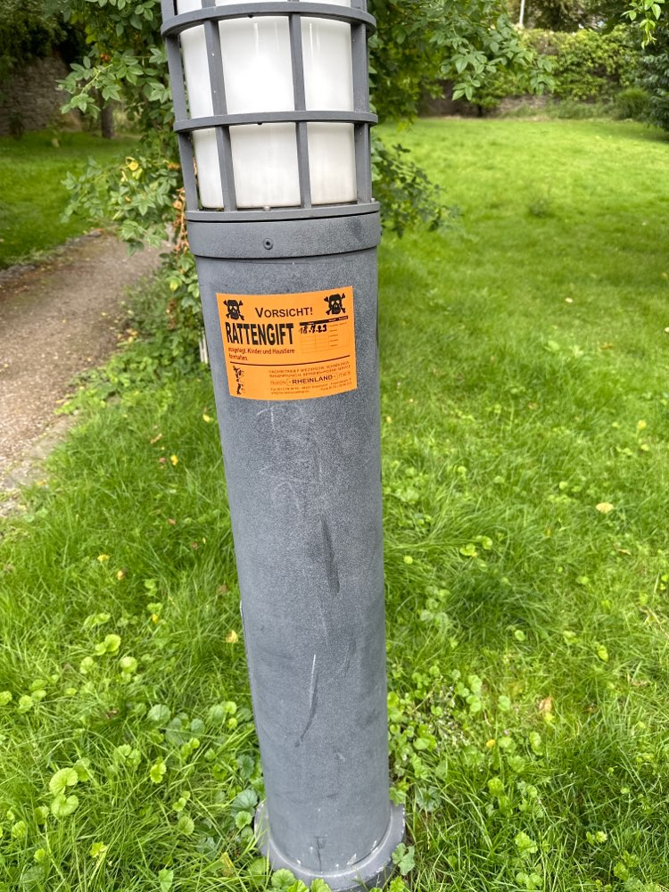 Giftköder-Gift-Profilbild