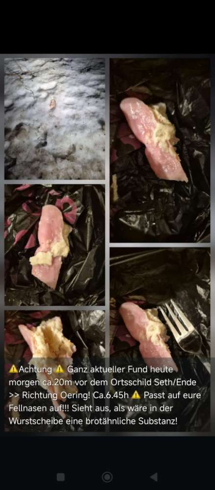 Giftköder-Giftköderfund Ortsausgang Seth Richtung Oering-Profilbild