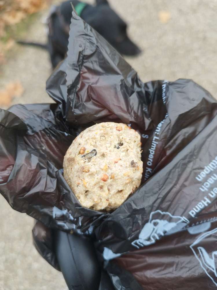 Giftköder-Eventuell Giftköder-Profilbild