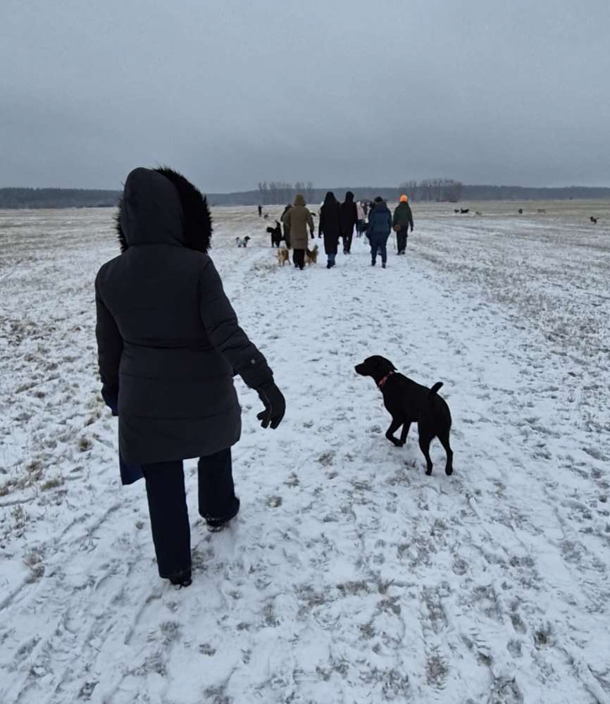 Hundetreffen-Hundefreunde für Junghündin-Profilbild