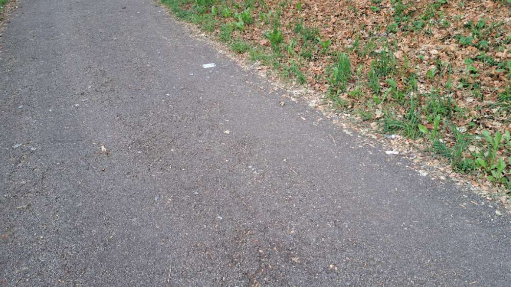 Giftköder-GLASSCHERBEN-Profilbild