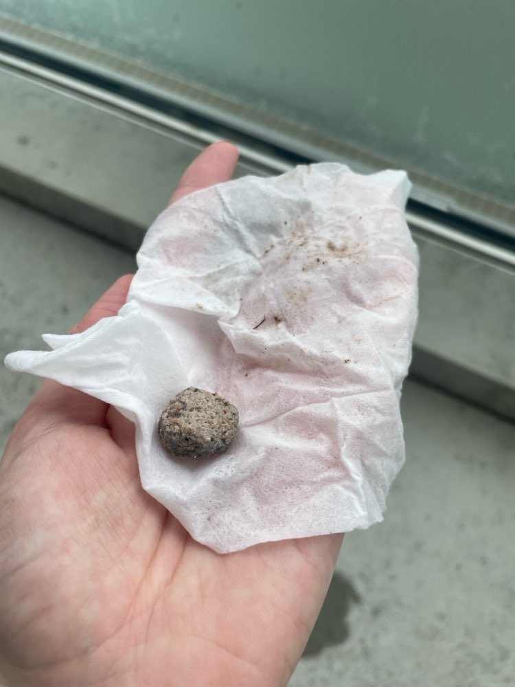 Giftköder-Mögliche Gefahr-Profilbild